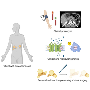 A+image+new+article+%281%29