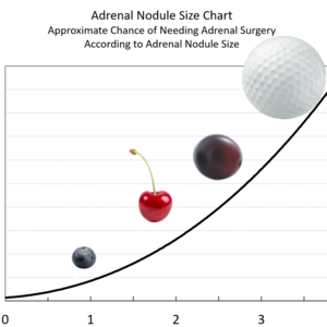 Adrenal+nodule+size+chart