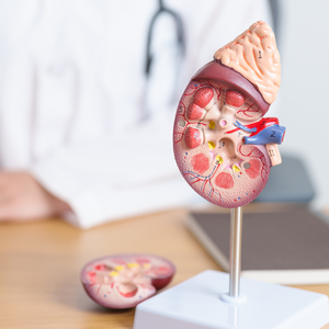 Untitled+design+%2828%29